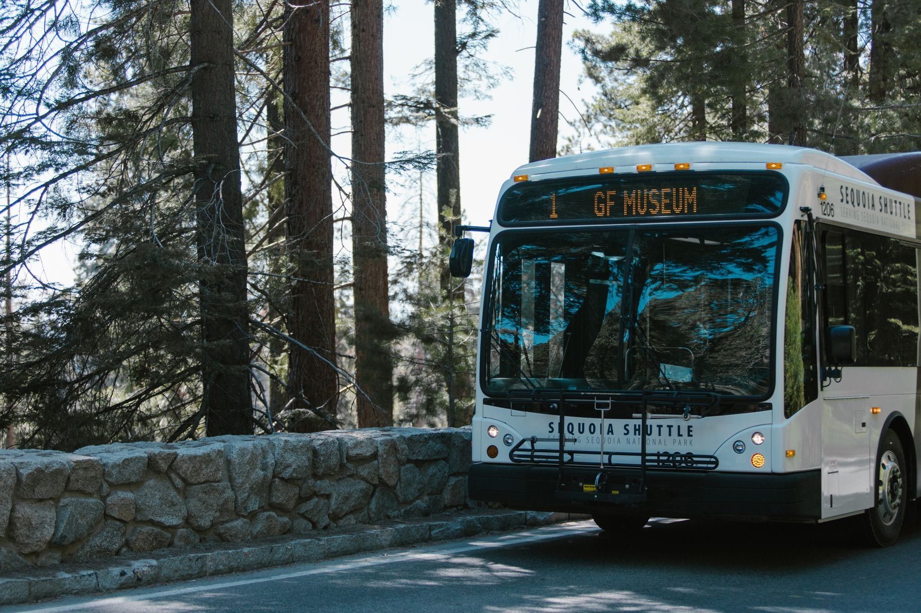 A white Sequoia Shuttle bus drives along a tree-lined road bordered by a stone wall in Sequoia National Park.