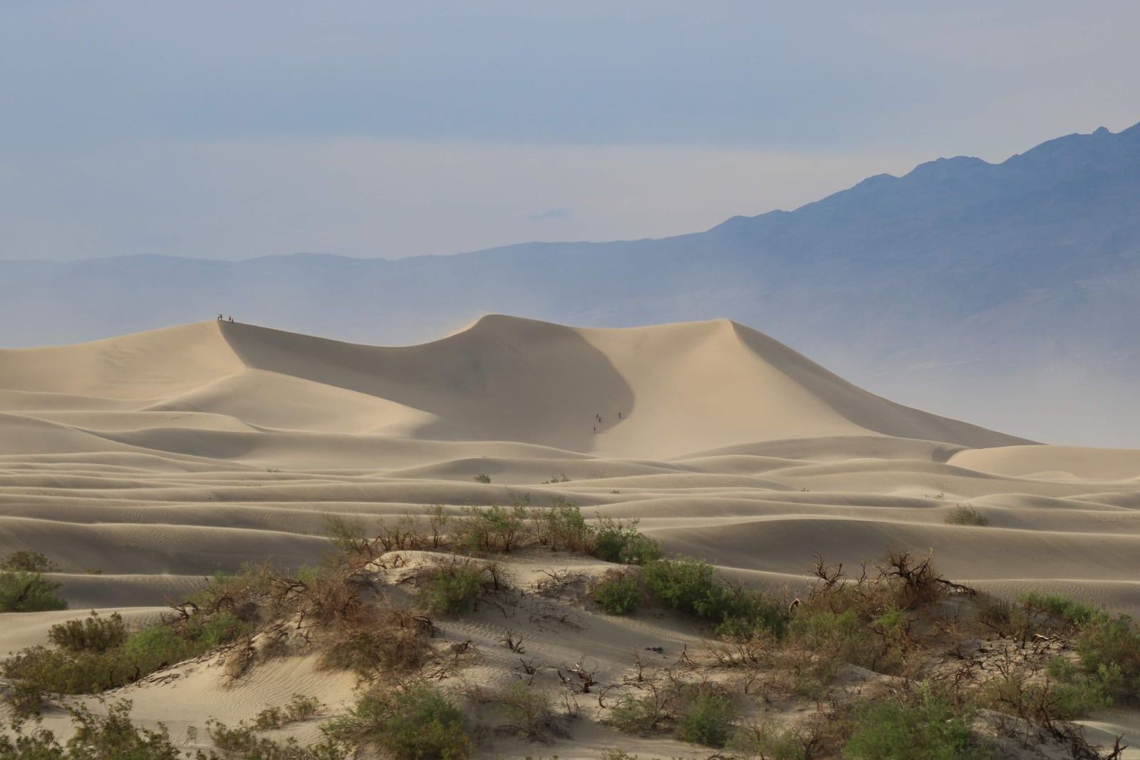 Dunas de arena onduladas de Mesquite Flat con arbustos del desierto en primer plano y montañas de fondo en el Parque Nacional del Valle de la Muerte, en la ruta hacia el Parque Nacional Sequoia.