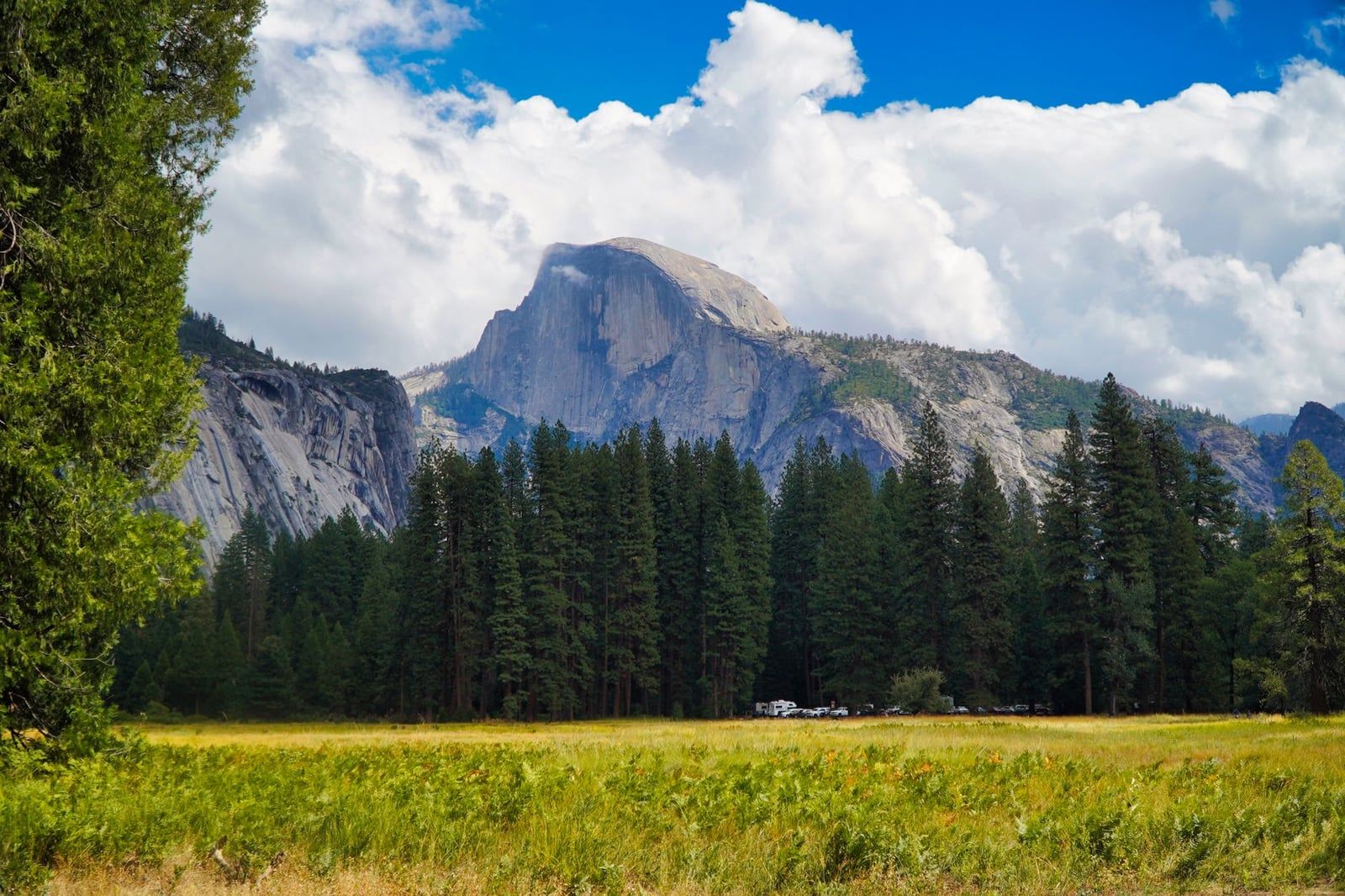 Half Dome rises above a dense pine forest and grassy meadow under a partly cloudy sky in Yosemite National Park.