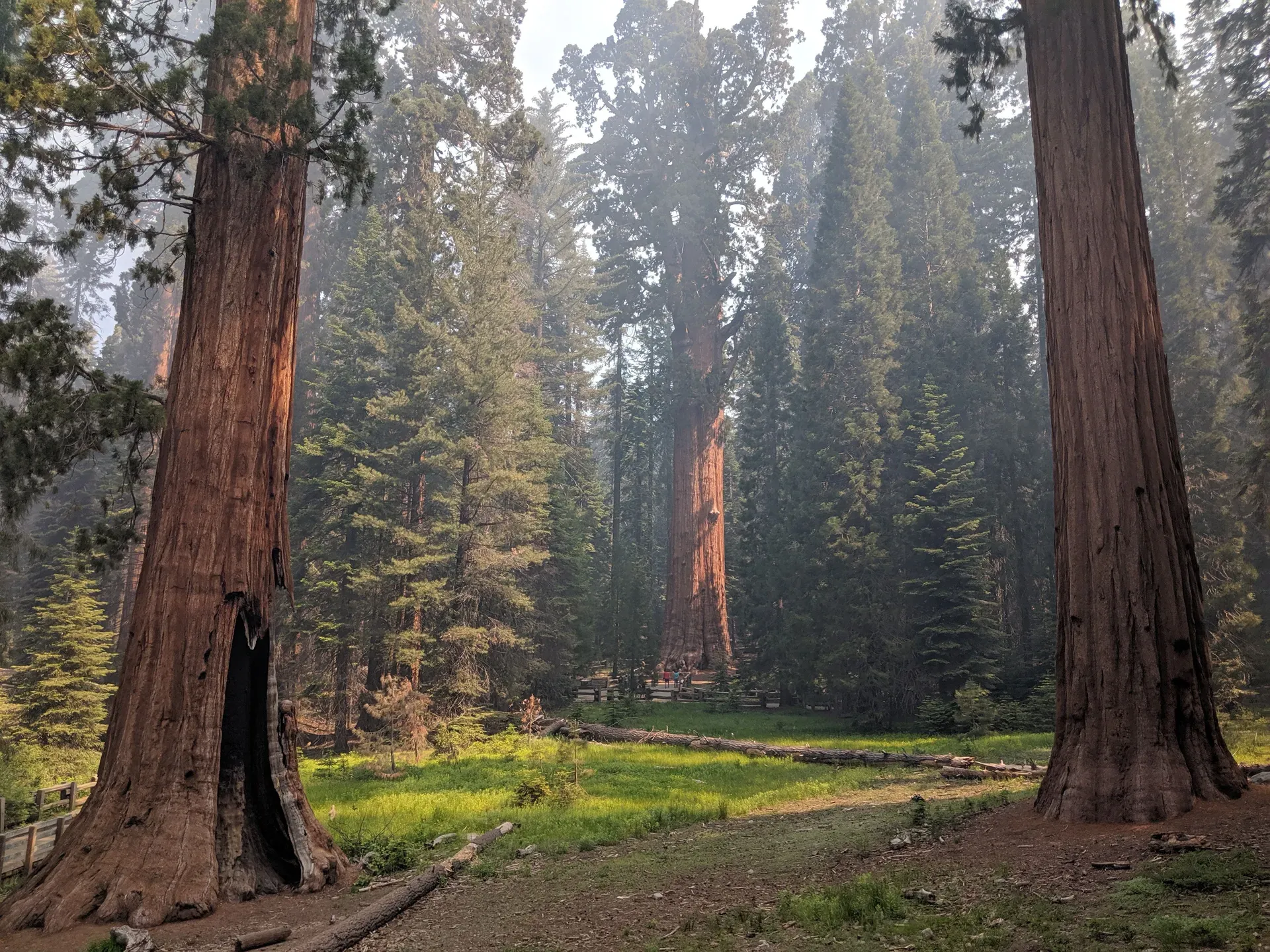 Sequoia-Nationalpark