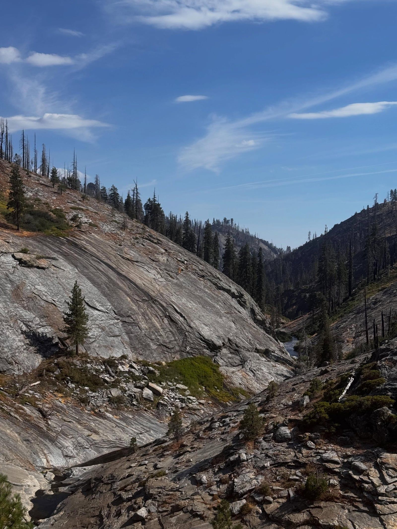 Sequoia-Nationalpark Ansicht