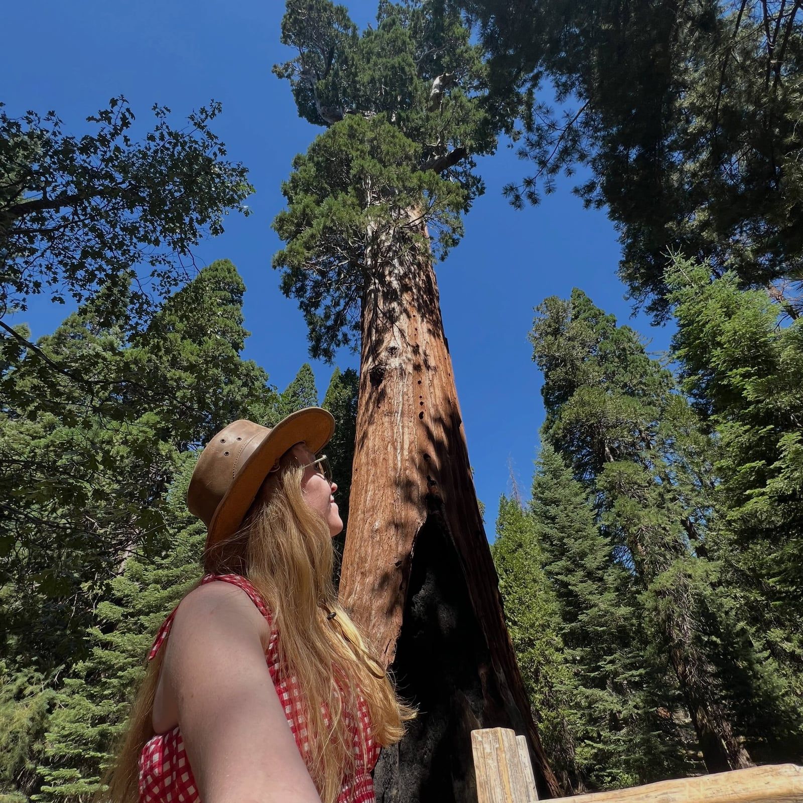 Sequoia National Park tour visitor photo